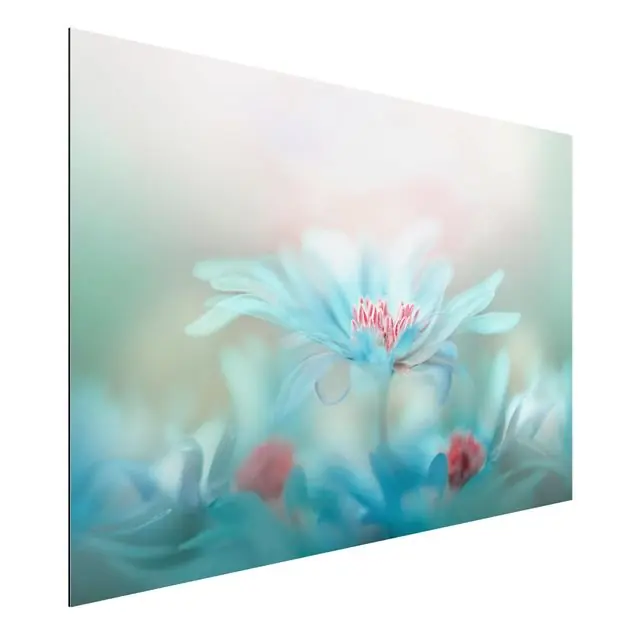 Zarte Blüten in Pastell Alu-Dibond Outdoor Bild Mega-Angebot
