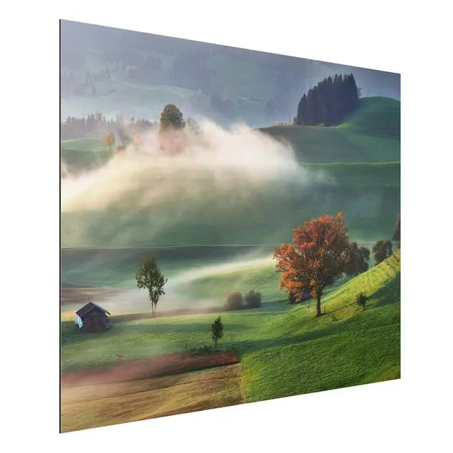 Abverkauf Nebliger Herbsttag Schweiz                               Alu-Dibond Outdoor Bild