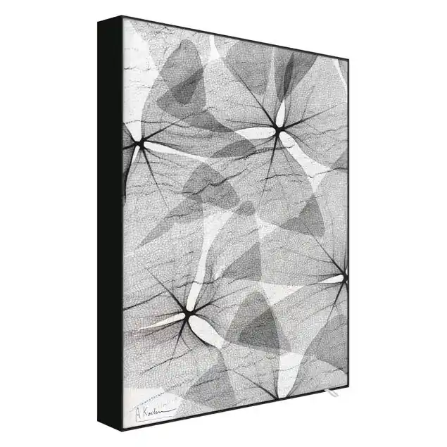 X-Ray - Dreiecksklee mit Textil                               Wechselbild Markenware