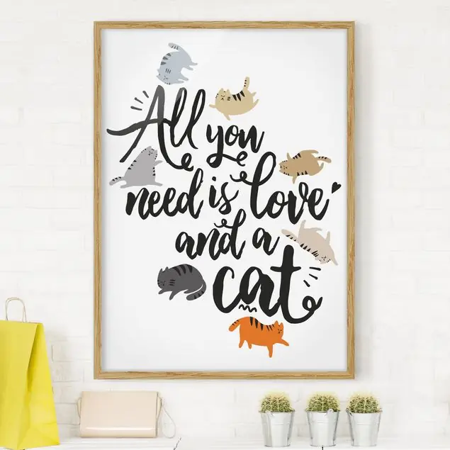 Aktuell All you need is love and a cat                               Bild mit Rahmen in Manufakturqualität • Eiche naturbelassen  • inkl. Rahmung von Hand • Made in Germany