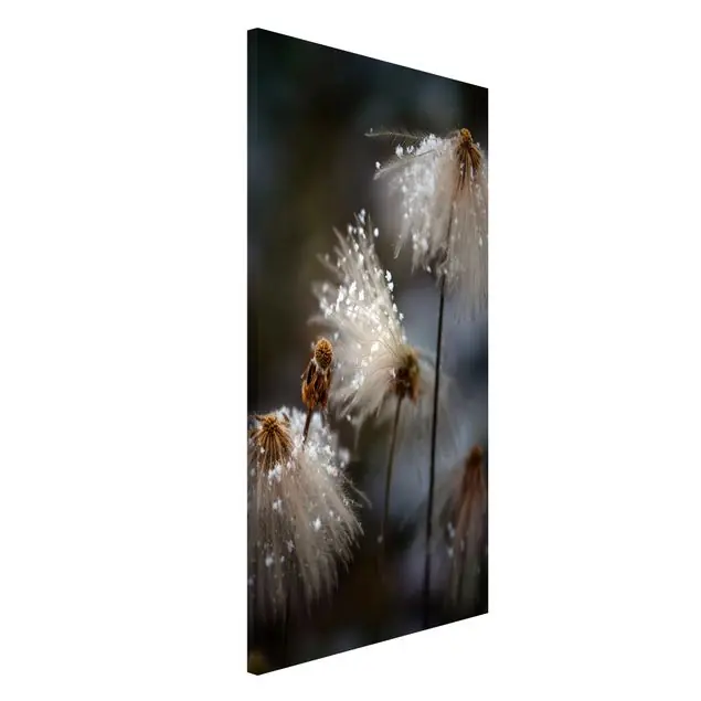 Pusteblumen mit Schneeflocken Magnettafel - Hochformat 3:4 Echt