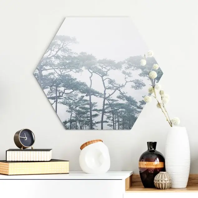 Must-Have Baumkronen im Nebel Hexagon-Alu-Dibond Bild