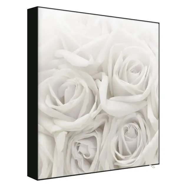 Aktuell Weiße Rosen                               Wechselbild
