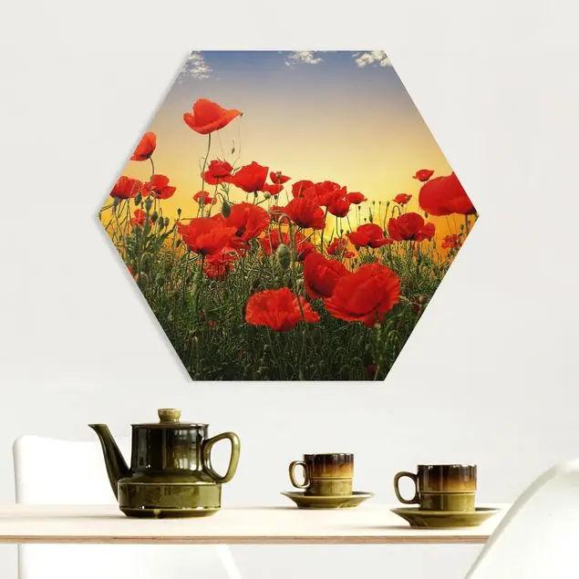 Zertifiziert Mohnblumenfeld im Sonnenuntergang                               Hexagon-Forexbild