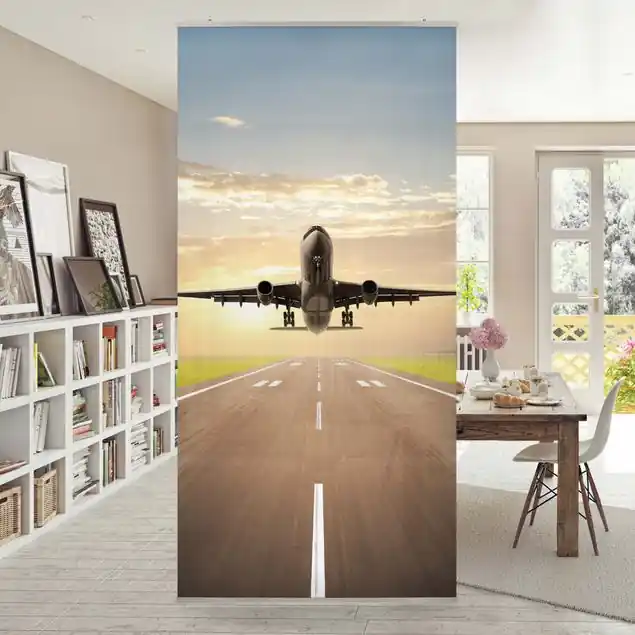 Echt Startendes Flugzeug