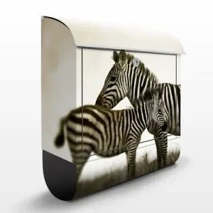 Zebrapaar Mega-Angebot