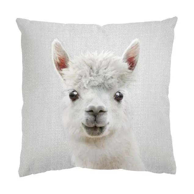 Günstig Lama Lars