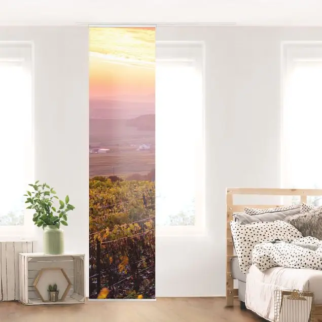 Weinplantage bei Sonnenuntergang Knallerangebot
