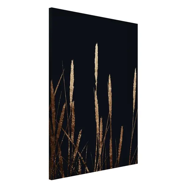 Grafische Pflanzenwelt - Goldenes Schilf                               Magnettafel Bestpreis