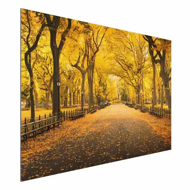 Bestseller Herbst im Central Park Alu-Dibond Bild