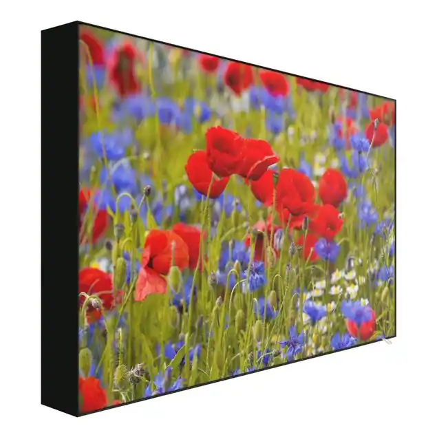 Expressversand Sommerwiese mit Mohn und Kornblumen Akustik-Wechselbild