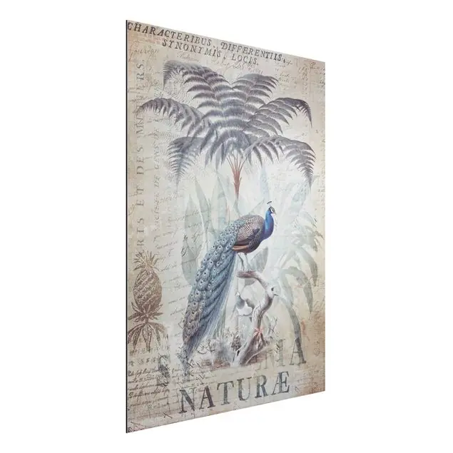 Bestseller Shabby Chic Collage - Pfau Alu-Dibond Bild - Hochformat 3:4