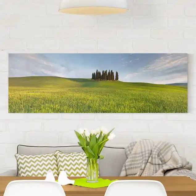 Grünes Feld in Toskana Leinwandbild – Canvas Kostenloser Versand