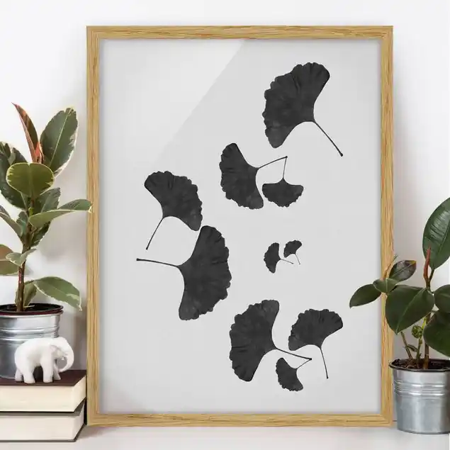 Ginkgo Komposition in Schwarz-Weiß Bild mit Rahmen Direktkauf