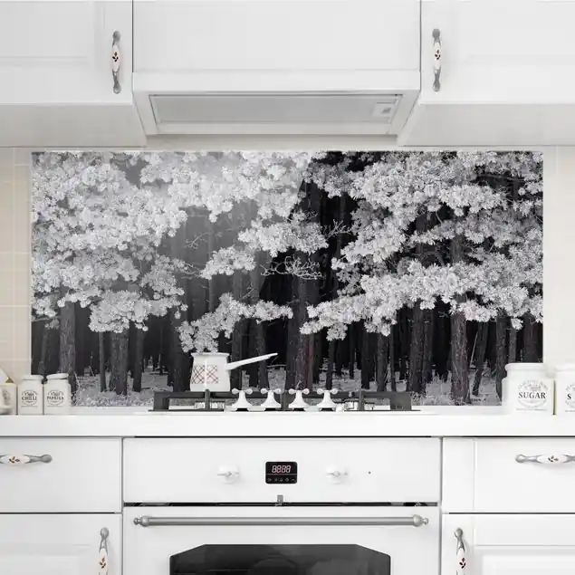 Wald mit Raureif in Österreich Glas Spritzschutz - Querformat 2:1 Neue Ware