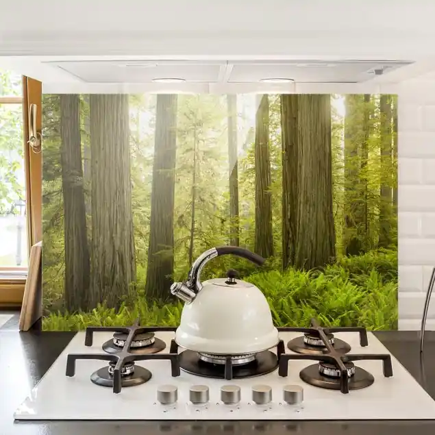 Direkt Vom Hersteller Redwood State Park Waldblick Glas Spritzschutz - Querformat 3:2