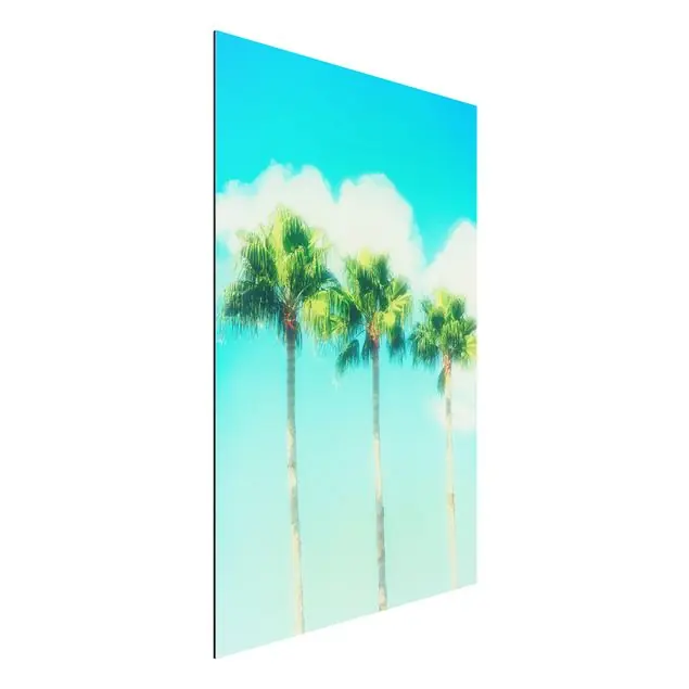 Knallerangebot Palmen vor Himmel Blau Alu-Dibond Bild - Hochformat 2:3