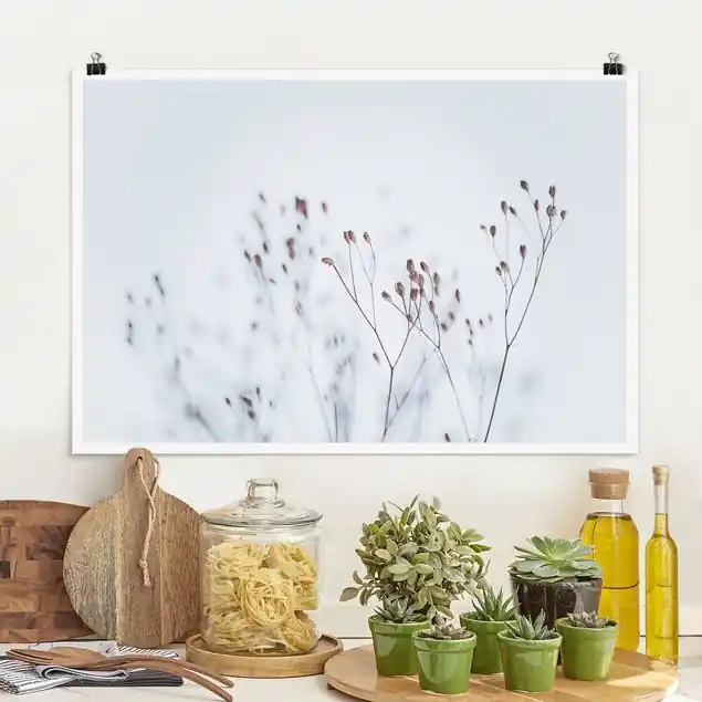 Abverkauf Zartblaue Wildblumen                               Poster