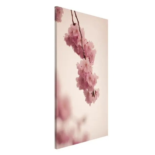 Zartrosane Frühlingsblüte mit Bokeh                               Magnettafel Heißes Angebot