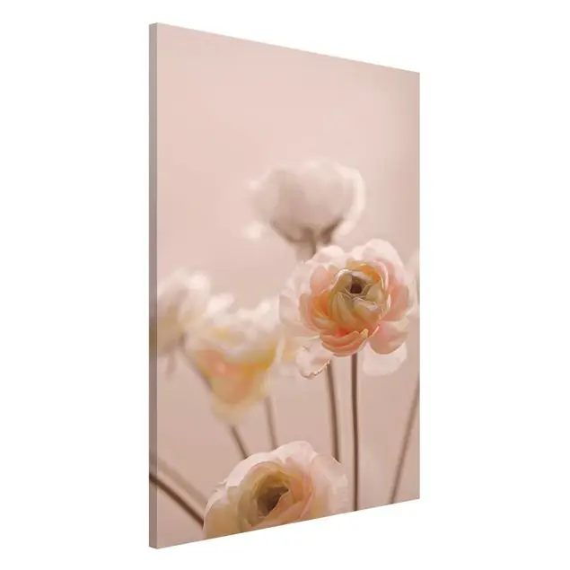 Zarter Strauch an Rosa Blüten                               Magnettafel Neue Kollektion