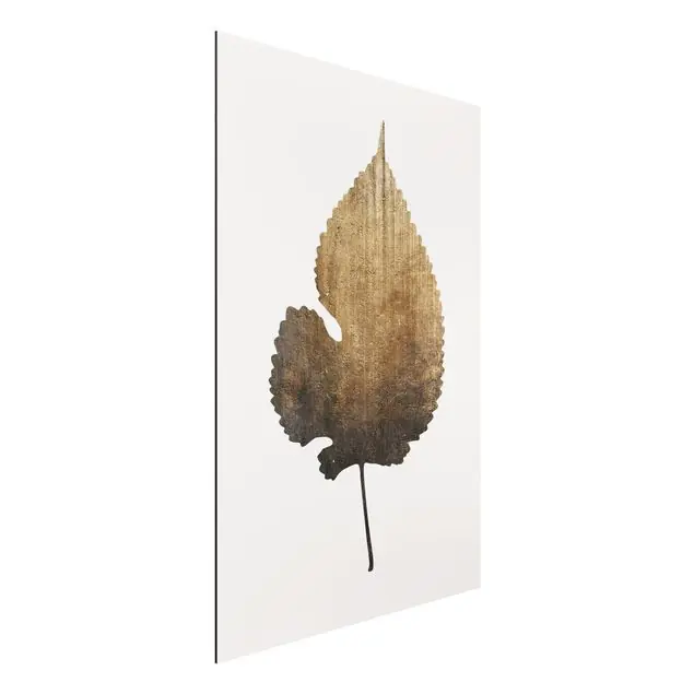 Abverkauf Goldenes Blatt - Linde Alu-Dibond Bild