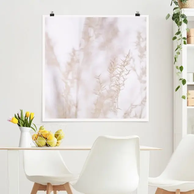 Zartes Wiesengras Close Up                               Poster Neu Im Sortiment