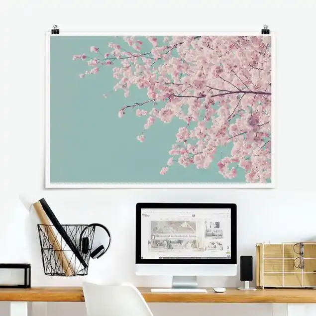 Abverkauf Japanische Kirschblüte                               Poster