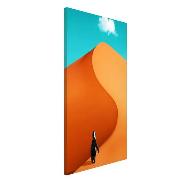 Wüste mit Pinguin                               Magnettafel - Hochformat 3:4 Angebot