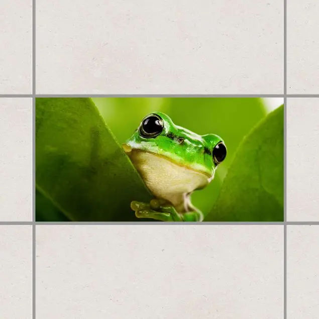 Wetterfrosch Fliesenaufkleber Begrenztes Angebot