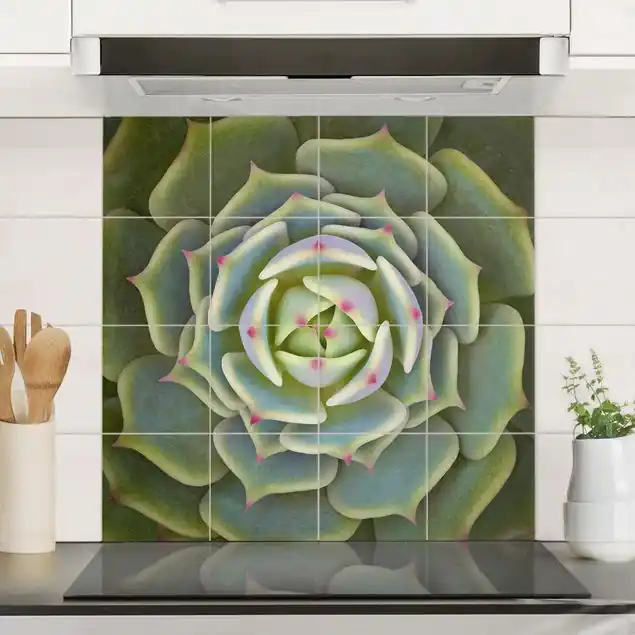 Sukkulente - Echeveria Ben Badis Fliesenbild - Quadrat Mega-Angebot